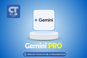 Gemini Pro 12Month (India)